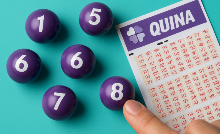 Quina de Hoje: Resultado do Concurso 6978 Revelea Surpresas